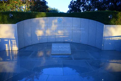 DSC_1157 (Large).JPG